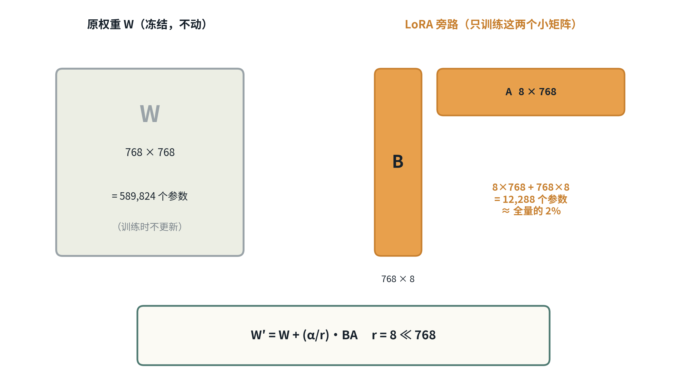 LoRA 参数量对比：冻结 768×768 主干（589,824 参数），只训练 8×768 与 768×8 两个小矩阵（12,288 参数，约 2%）
